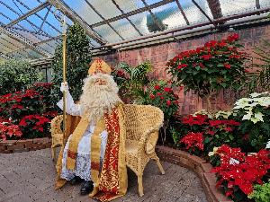 Nikolaustag in der Wilhelma